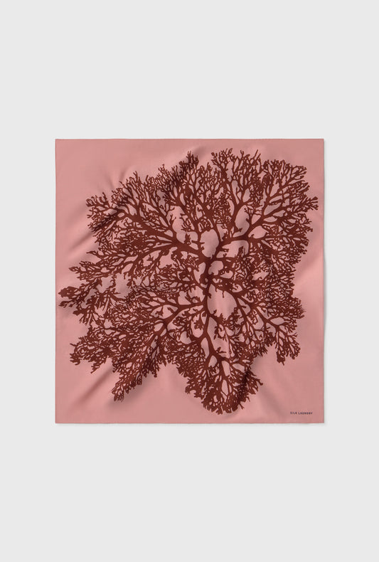 COTTON SILK SCARF PRESSED CORAL
