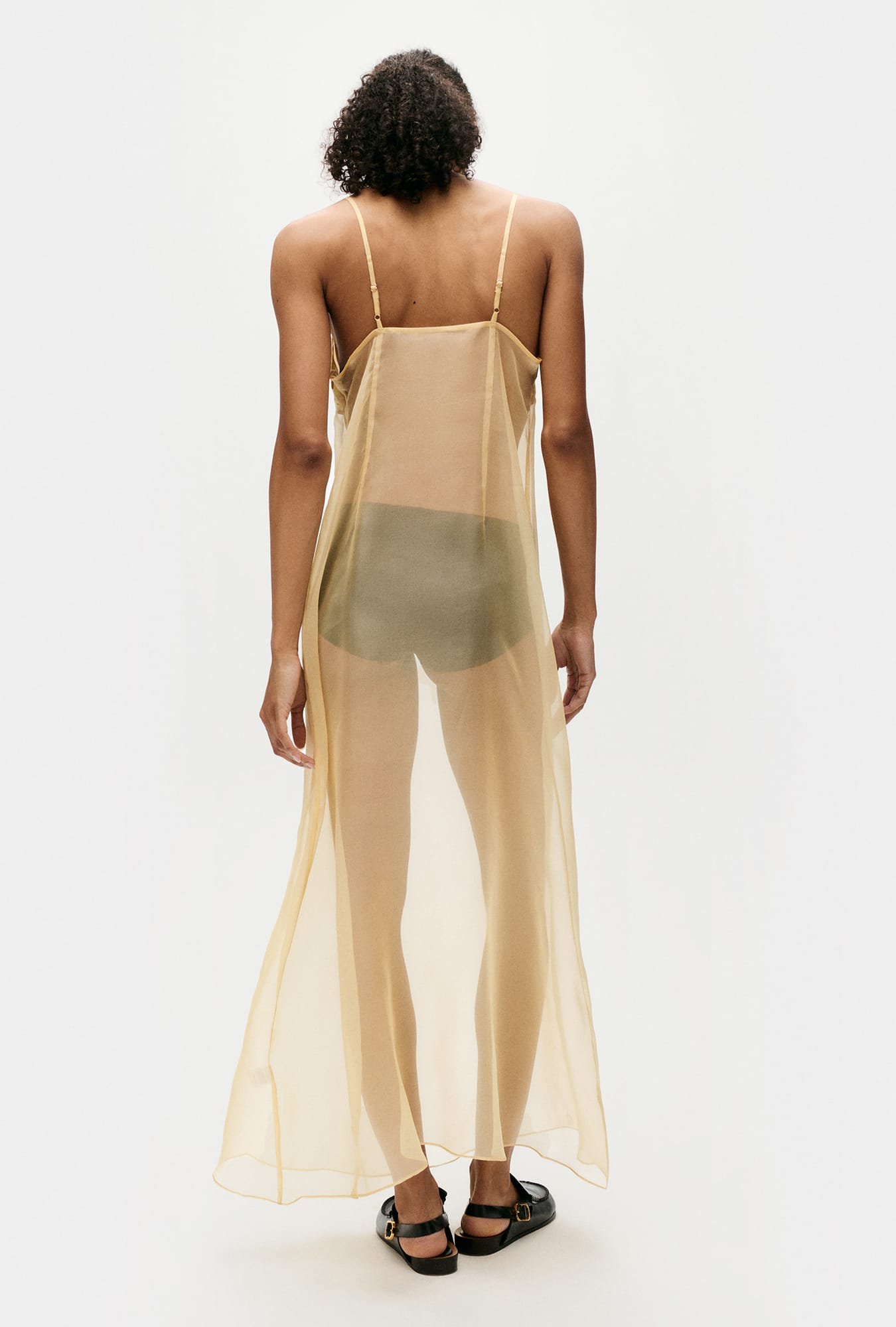 Organza A-Line Dress Beige